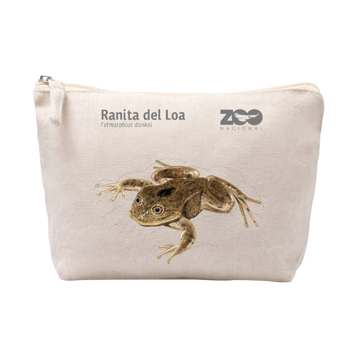 ESTUCHE RANITA
