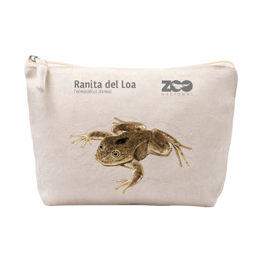ESTUCHE RANITA