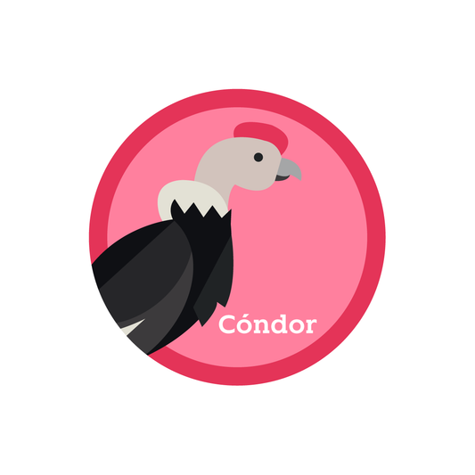 STICKERS CÓNDOR