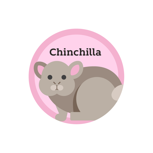 STICKERS CHINCHILLA